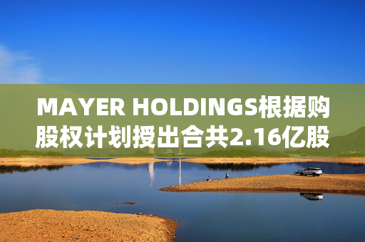 MAYER HOLDINGS根据购股权计划授出合共2.16亿股