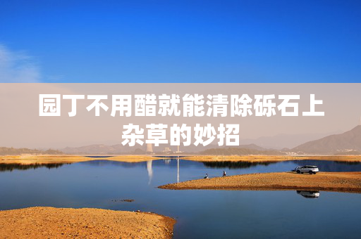 园丁不用醋就能清除砾石上杂草的妙招
