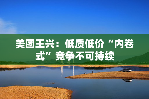 美团王兴：低质低价“内卷式”竞争不可持续