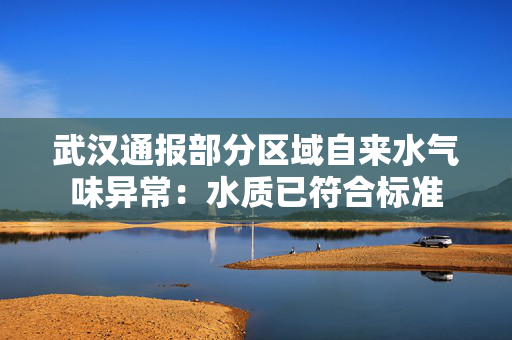 武汉通报部分区域自来水气味异常：水质已符合标准