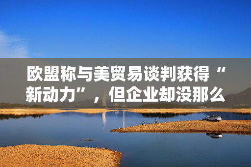 欧盟称与美贸易谈判获得“新动力”，但企业却没那么乐观