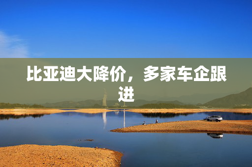 比亚迪大降价，多家车企跟进