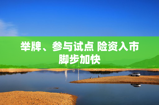 举牌、参与试点 险资入市脚步加快