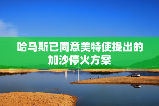 哈马斯已同意美特使提出的加沙停火方案