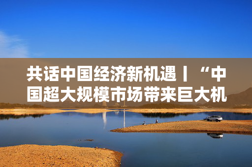 共话中国经济新机遇丨“中国超大规模市场带来巨大机遇”——访塞尔维亚经济部国务秘书尼科利奇