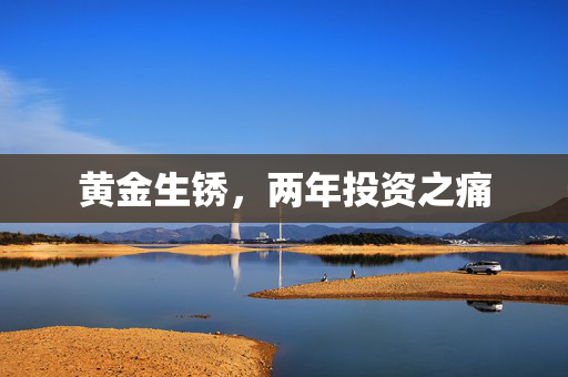 黄金生锈，两年投资之痛
