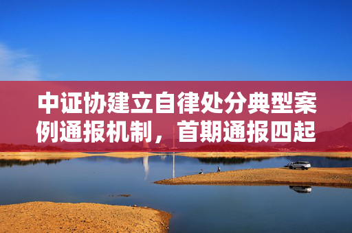 中证协建立自律处分典型案例通报机制，首期通报四起典型案例