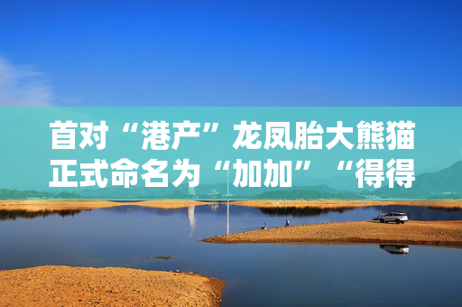 首对“港产”龙凤胎大熊猫正式命名为“加加”“得得”