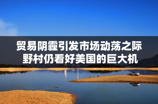 贸易阴霾引发市场动荡之际 野村仍看好美国的巨大机