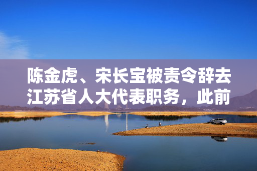 陈金虎、宋长宝被责令辞去江苏省人大代表职务，此前均已被查