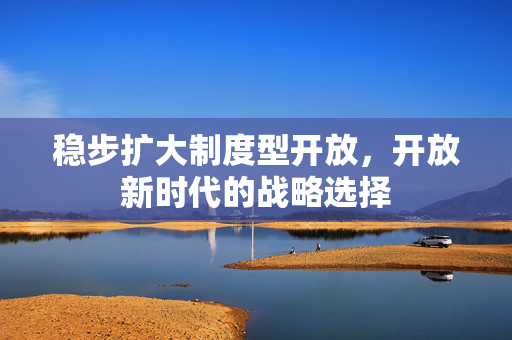 稳步扩大制度型开放，开放新时代的战略选择