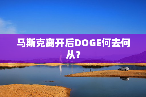 马斯克离开后DOGE何去何从？