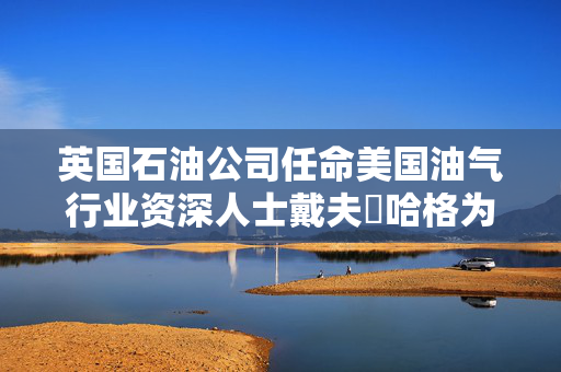 英国石油公司任命美国油气行业资深人士戴夫・哈格为非执行董事