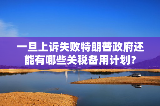 一旦上诉失败特朗普政府还能有哪些关税备用计划？