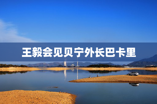 王毅会见贝宁外长巴卡里