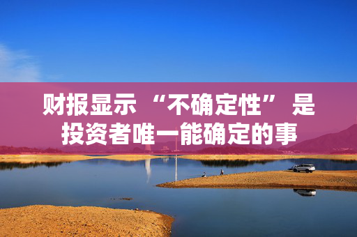 财报显示 “不确定性” 是投资者唯一能确定的事