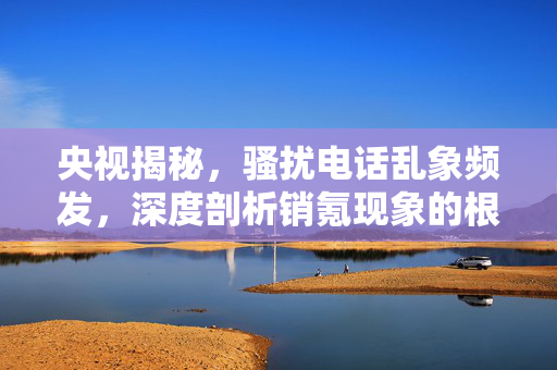 央视揭秘，骚扰电话乱象频发，深度剖析销氪现象的根源