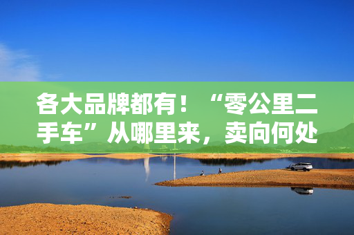 各大品牌都有！“零公里二手车”从哪里来，卖向何处，影响有多大？