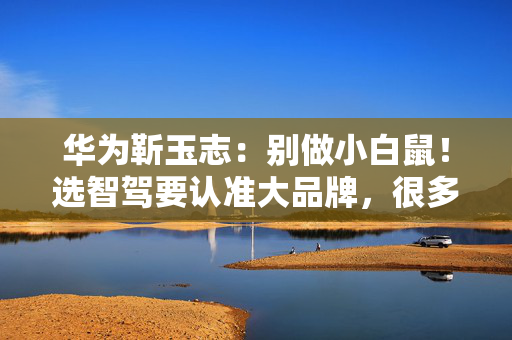 华为靳玉志：别做小白鼠！选智驾要认准大品牌，很多公司不是倒闭就是做机器人去了