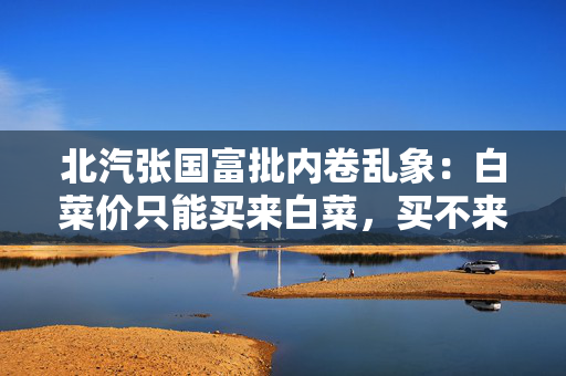 北汽张国富批内卷乱象：白菜价只能买来白菜，买不来金丝楠木