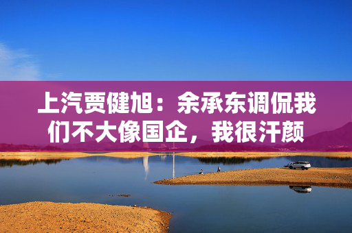 上汽贾健旭：余承东调侃我们不大像国企，我很汗颜