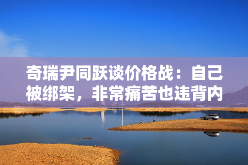 奇瑞尹同跃谈价格战：自己被绑架，非常痛苦也违背内心