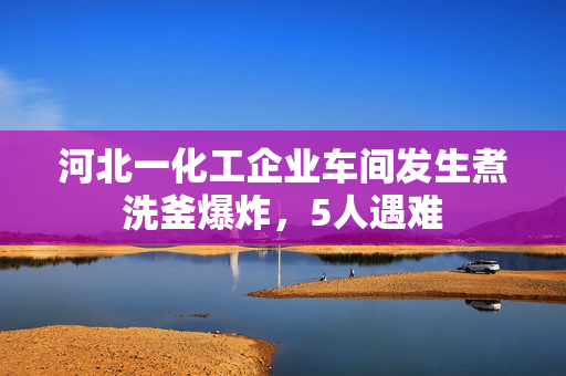 河北一化工企业车间发生煮洗釜爆炸，5人遇难