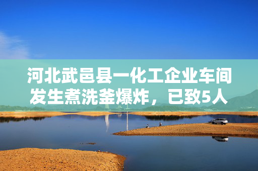 河北武邑县一化工企业车间发生煮洗釜爆炸，已致5人遇难
