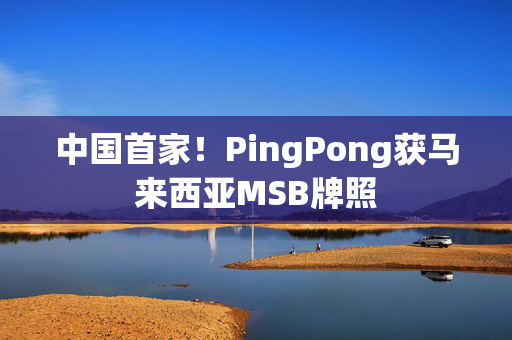 中国首家！PingPong获马来西亚MSB牌照