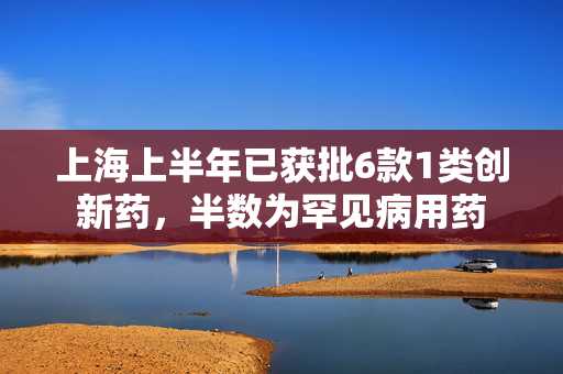 上海上半年已获批6款1类创新药，半数为罕见病用药