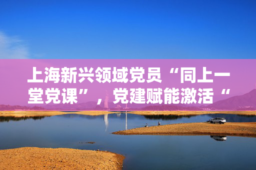 上海新兴领域党员“同上一堂党课”，党建赋能激活“新”动能