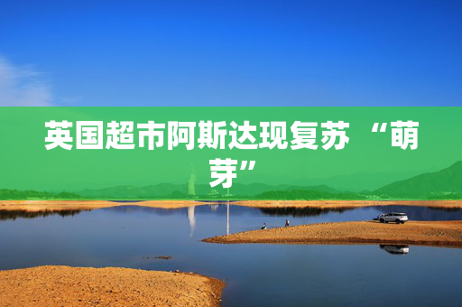 英国超市阿斯达现复苏 “萌芽”