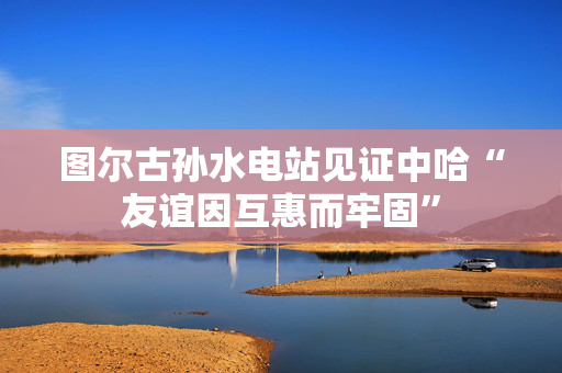 图尔古孙水电站见证中哈“友谊因互惠而牢固”
