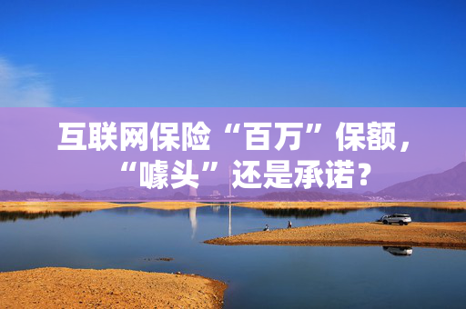 互联网保险“百万”保额，“噱头”还是承诺？