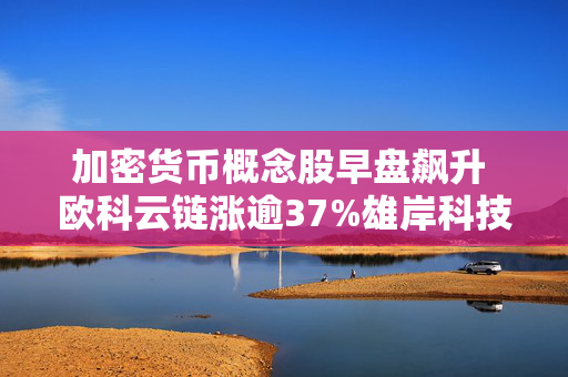 加密货币概念股早盘飙升 欧科云链涨逾37%雄岸科技涨逾15%