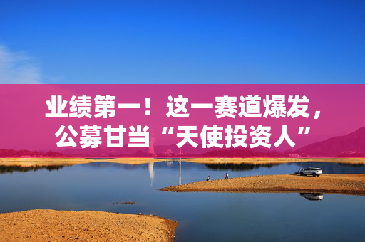 业绩第一！这一赛道爆发，公募甘当“天使投资人”