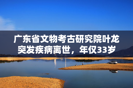 广东省文物考古研究院叶龙突发疾病离世，年仅33岁