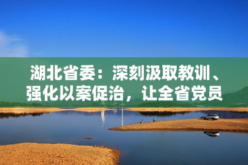 湖北省委：深刻汲取教训、强化以案促治，让全省党员干部受警醒知敬畏守底线