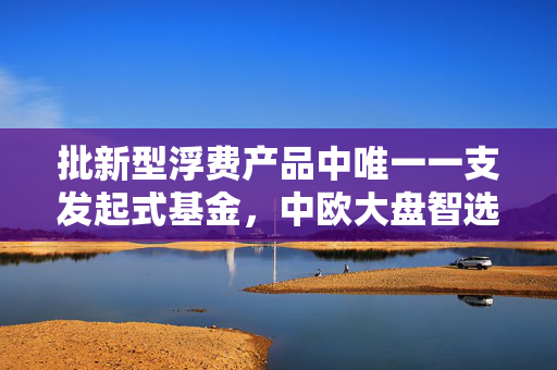 批新型浮费产品中唯一一支发起式基金，中欧大盘智选正在发行