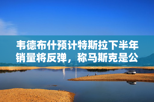 韦德布什预计特斯拉下半年销量将反弹，称马斯克是公司“最大资产”
