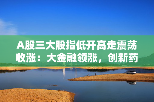 A股三大股指低开高走震荡收涨：大金融领涨，创新药概念股表现活跃