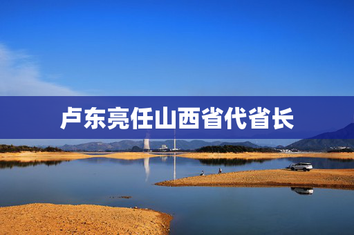 卢东亮任山西省代省长