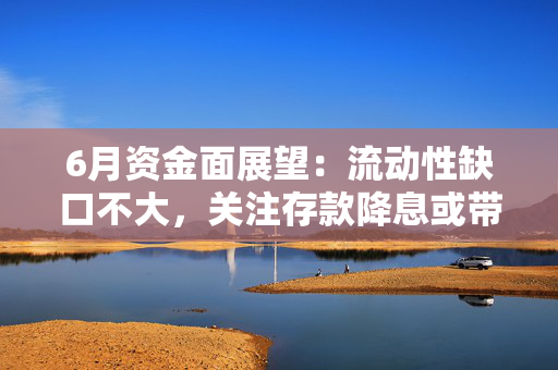 6月资金面展望：流动性缺口不大，关注存款降息或带来的存款搬家等对银行负债端的影响