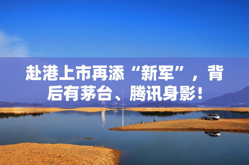 赴港上市再添“新军”，背后有茅台、腾讯身影！