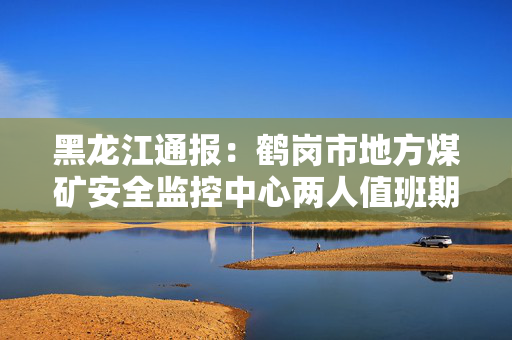 黑龙江通报：鹤岗市地方煤矿安全监控中心两人值班期间违规饮酒