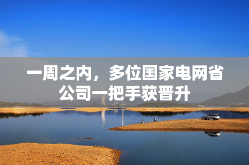 一周之内，多位国家电网省公司一把手获晋升