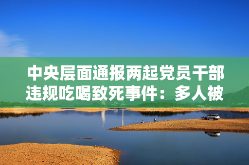 中央层面通报两起党员干部违规吃喝致死事件：多人被处理处分