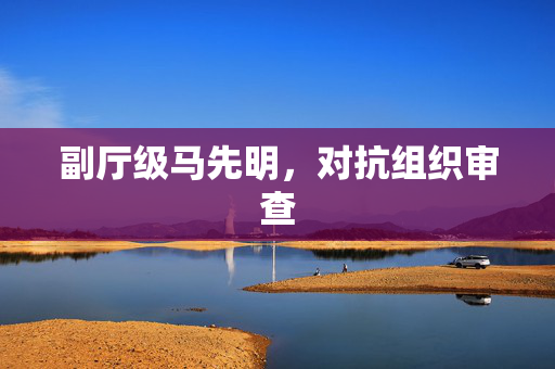 副厅级马先明，对抗组织审查