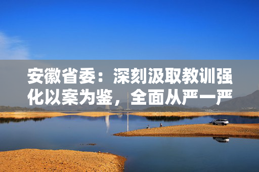 安徽省委：深刻汲取教训强化以案为鉴，全面从严一严到底落实中央八项规定精神