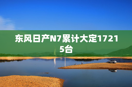 东风日产N7累计大定17215台